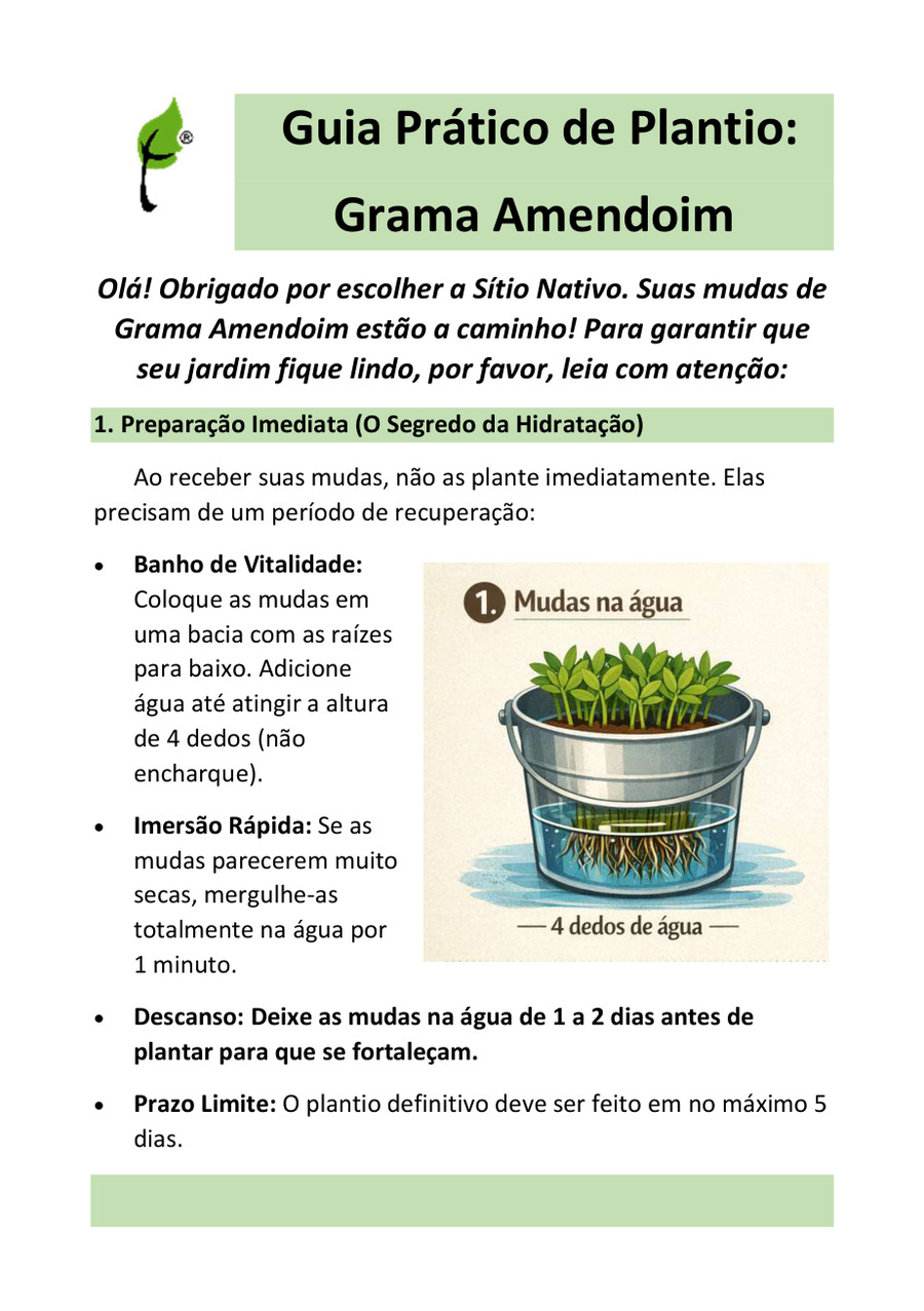 Capa — Guia Prático de Plantio da Grama Amendoim